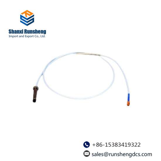 Bently Nevada DS-1053/03/030/010/1/9 Extension Cable
