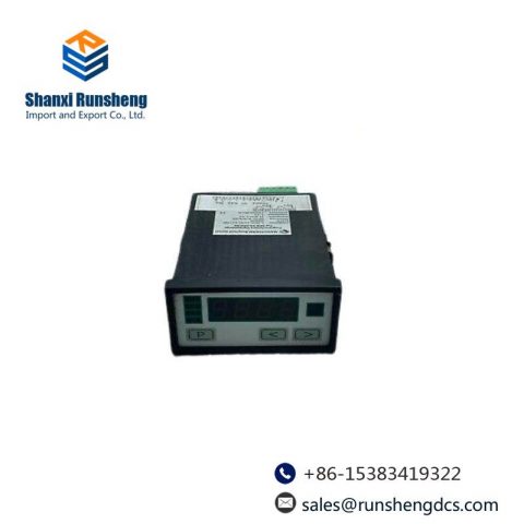 Negele Process Display DPM-GS-2GW-S Digital Display
