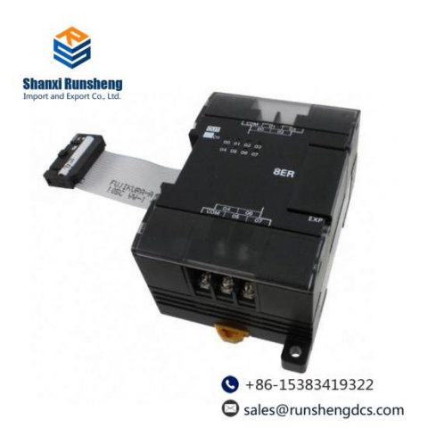 OMRON CP1W-DA021 Digital-to-Analog Converter Module